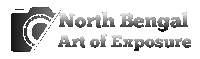 NBAE-LOGO-copy-scaled-e1752038552884