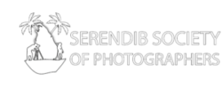 serendib-01-copy-300×130-1-e1679826374325